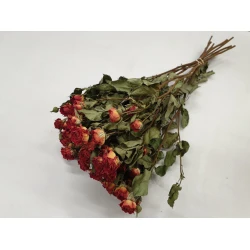 ROSES SPRAY ORANGE NATUREL BOPP/kraft emballage hobby