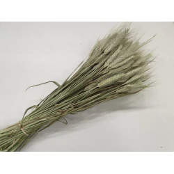 TRITICALE NATURAL BOPP/kraft Small packaging