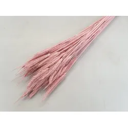 TRITICALE PASTEL PINK BOPP/kraft Small packaging