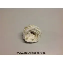 GECONSERVEERDE ROOS (ENGLISH ROSE KATE) +/-5CM WIT 4ST