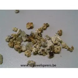 ROCKIES NATUREL 2.5KG