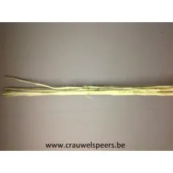 TABAKSTAM 2M GREEN WASHED 5ST