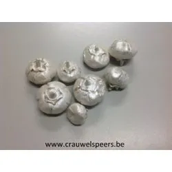 WILD APPLE MINI RUW PEARL WHITE +/-500GR