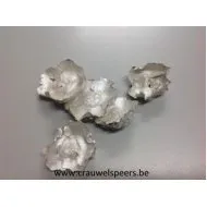 COCO FLOWER PEARL WHITE +/-250GR