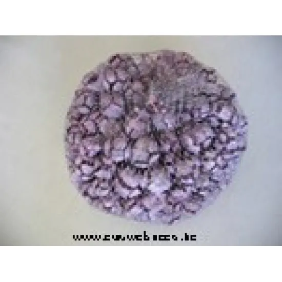 CYPRESSSUS BURGUNDY FROSTED 500GR