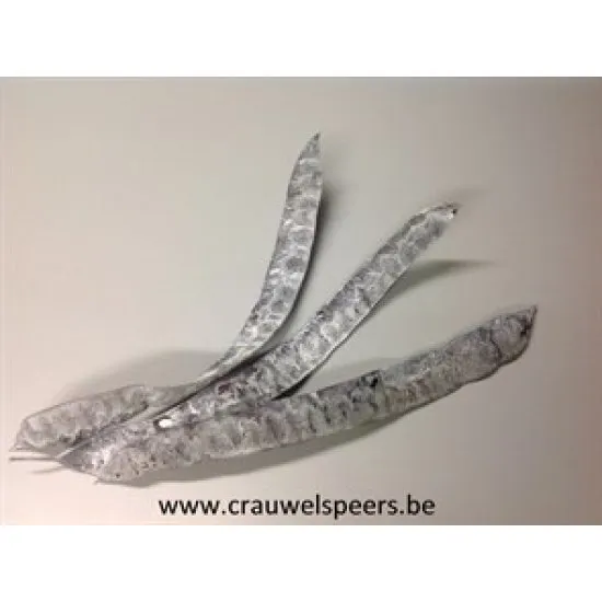 CAROB BEANS WHITE WASH 100GR