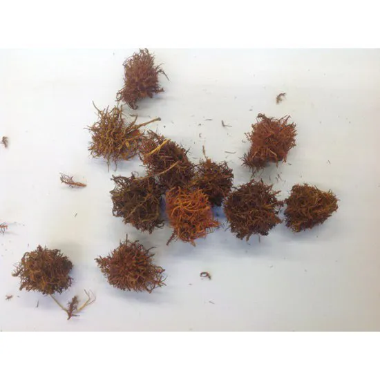 CURLY CONE ORANGE +/-300GR