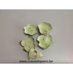 COCO FLOWER MUNT 250GR