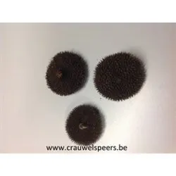 GIRASSOL NATURAL 30PCS