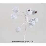 GUMBELL BRANCH WHITE WASH 10PCS