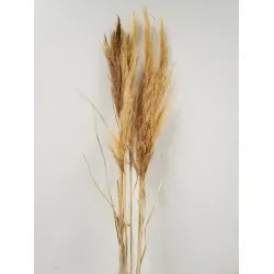 PAMPAS SOFT YELLOW 6PCS