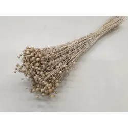 LIN WHITE WASH +/-100GR