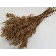 RUSCUS SAHARA +/-500GR