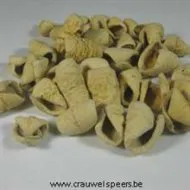 LALY PETALS BLANCHIS +/-250GR