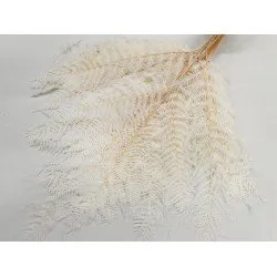 ADELAARSVAREN GEBLEEKT 10ST