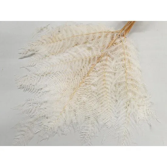 ADELAARSVAREN GEBLEEKT 10ST