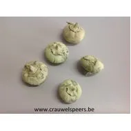 WILD APPLE MINI RUW MUNT +/-500GR