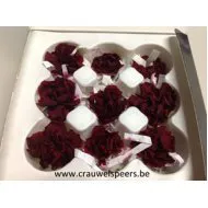 GECONSERVEERDE ANJER BORDEAUX 6ST