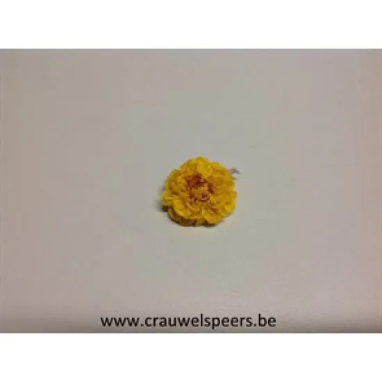 GECONSERVEERDE DAHLIA (SNOWFLAKE) GEEL 12ST