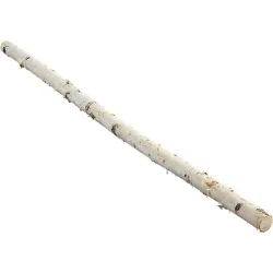 BERKENTAK +/-3-5CM 2M NATUREL