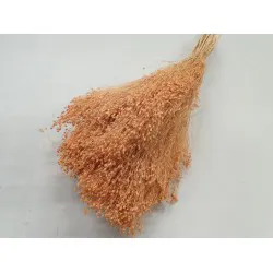 BROOM BLOOM MELON +/-100GR