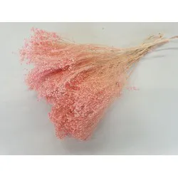 BROOM BLOOM PINK +/-100GR