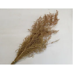 BRIZONNE NATURAL +/-50GR