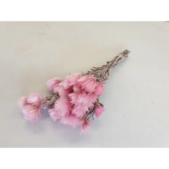 CAPBLUMEN LARGE 30CM ROSE  +/-50GR