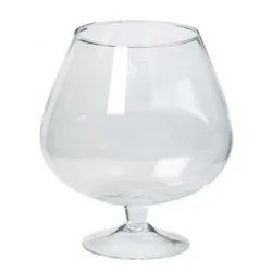 VERRE COGNAC D13/20 H25CM