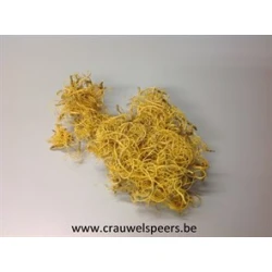 CURLY MOSS YELLOW +/-30GR