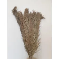 DATE WIDDLE NATURAL 20PCS