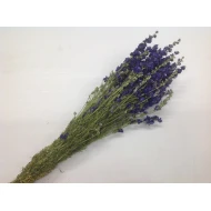 DELPHINIUM BLAUW NATUREL