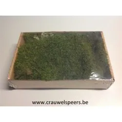 DOOSJE GROEN MOS (PLAT MOS) +/-150GR