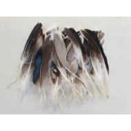 DUCK FEATHERS 10-15CM NATURAL 50PCS
