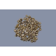 EUCALYPTUS FRUIT (PODS) GOUD +/-500GR