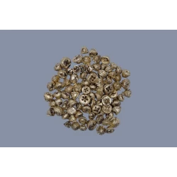 EUCALYPTUS FRUIT (PODS) GOUD +/-500GR