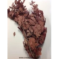 EIK GECONSERVEERD (GESTABILISEERD) BORDEAUX 1/2 KRAFT/BOPP