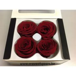 GECONSERVEERDE ROOS (LARGE OPEN) +/-6.5CM BORDEAUX 4ST