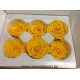 ROSE STABILISEE (MEDIUM OPEN) +/-4.5CM JAUNE 8PCS