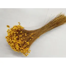 GLIXIA YELLOW +/-100GR