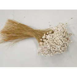 GLIXIA WHITE +/-100GR