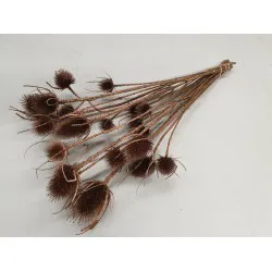 CARDOON THISTLE COPPER