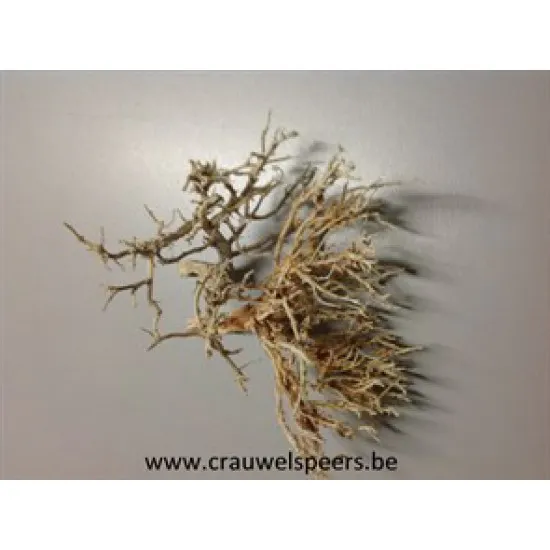 CORAL BUNCH BLEACHED 200GR