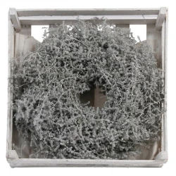 WREATH ASPARAGUS 45CM WHITE WAX