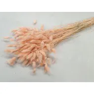 LAGURUS OVATUS MELOEN +/-100GR