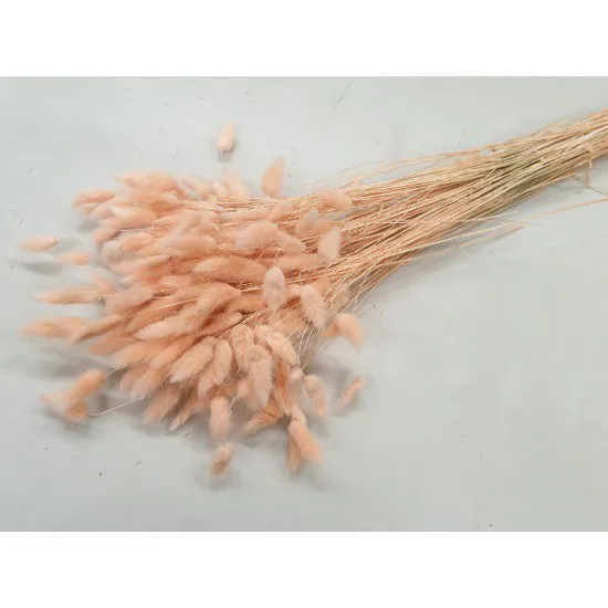 LAGURUS OVATUS MELON +/-100GR