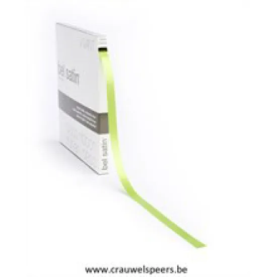 RUBAN BEL SATIN 100MX10MM VERT CLAIRE