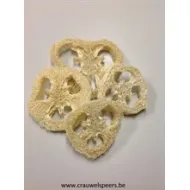 LOOFAH SLICES BLEACHED 20PCS