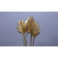 PALM SPEAR GOUD 20ST