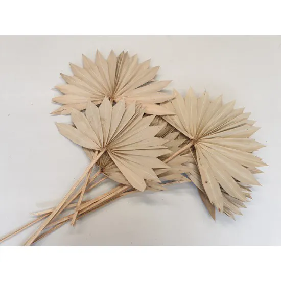 PALM SUN NATUREL 10ST